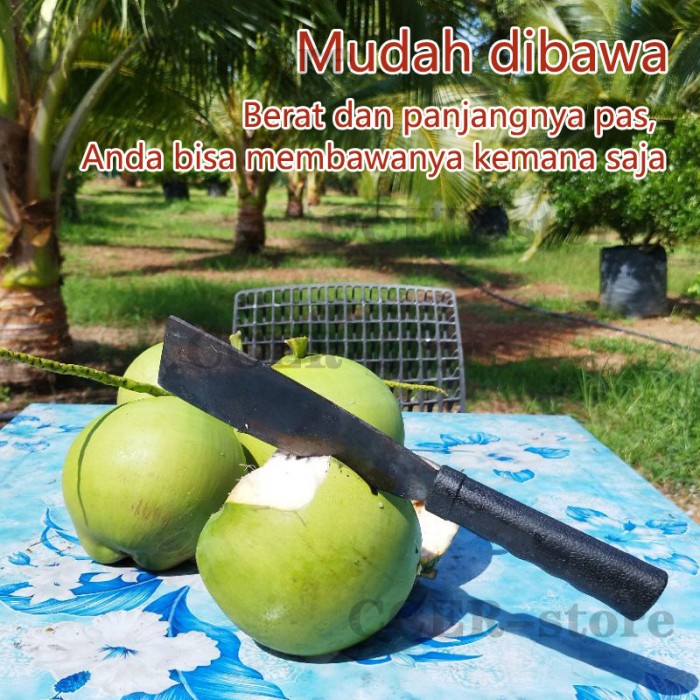 PREMIUM Pisau Dapur Daging Baja Super Tajam Damaskus pisau kelapa