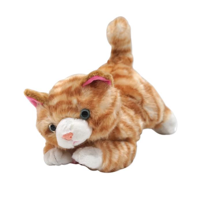 PREMIUM Boneka Kucing Istana Boneka Taby Cat Lucu kitty peliharaan anggora kucing oren edukasi anak