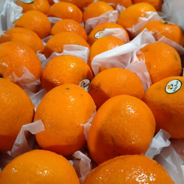 

Lezat- jeruk wokam 1kg