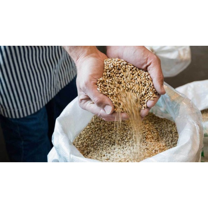 

Lezat- Korean Roasted Barley Tea Teh Boricha Import Mugicha Bori Cha