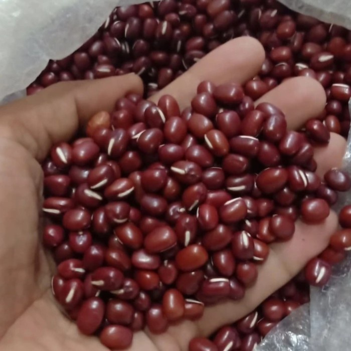 

Kacang Merah Import 1kg/ Adzuki Red Bean 1kg