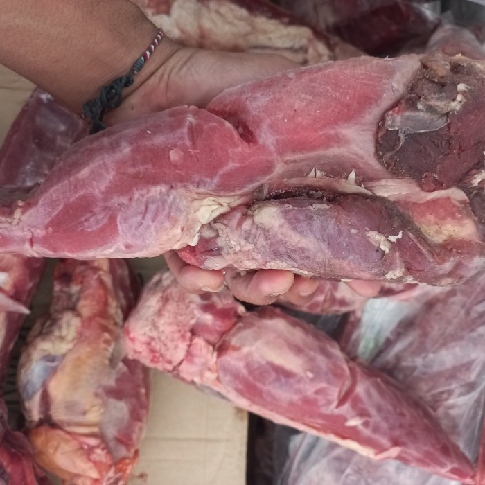 

Lezat- Lidah sapi import utuh, bersih Beef tongue 1kg