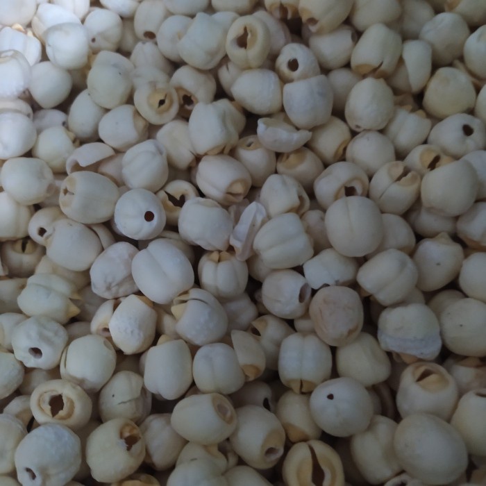 

250 gram lien ci ( biji teratai)