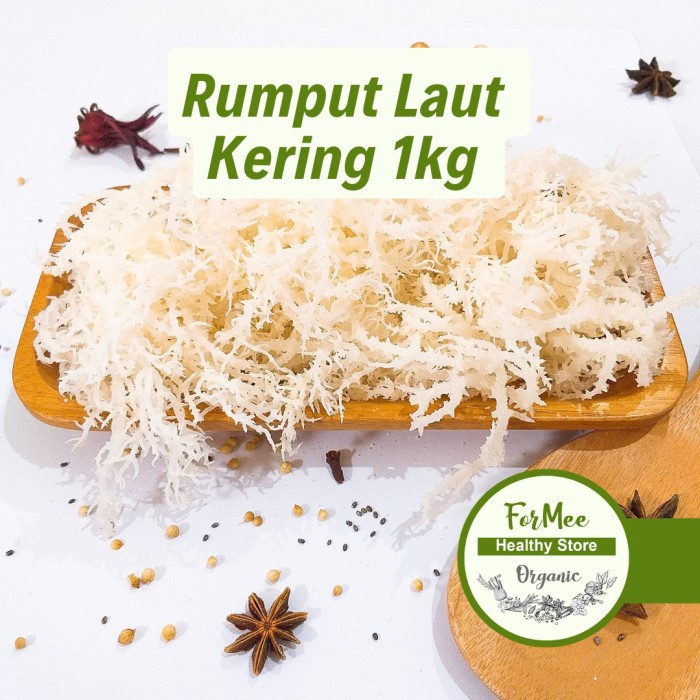 

1kg Rumput Laut Kering / Spinosum Cottoni