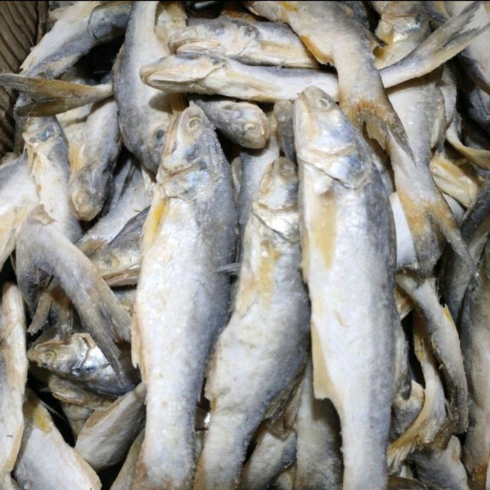 

Ikan Asin Sinangin Medan 1kg