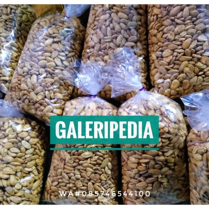 

(TopSeller) Kacang Kedawung 500 Gr Rasa Original Mindik Sengon Matang