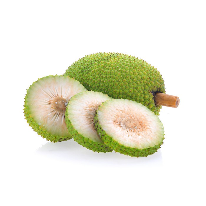

Sukun / Breadfruit Kiosayur