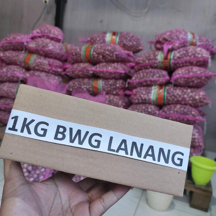 

[Ukuran SEDANG 2cm-2,3cm] Kemasan Kardus 1Kilo Bawang Putih Lanang Pilihan [BISA ]