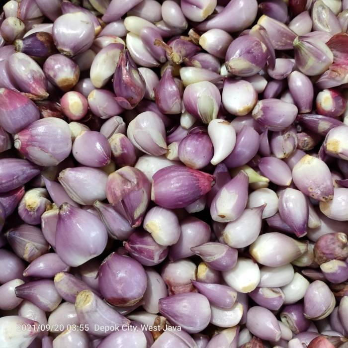 

Bawang Merah Kupas Bawang Kupas
