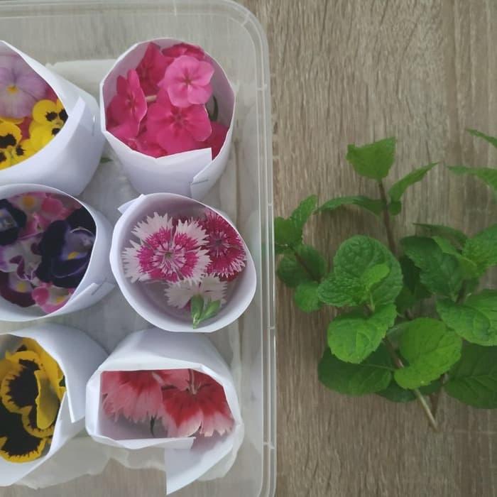 

Mix Edible Flower dengan Daun Mint-Mint leaves