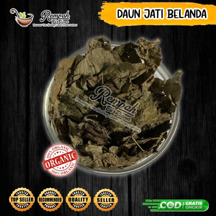 

TERMURAH!! DAUN JATI BELANDA KERING 1 KG