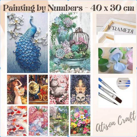 FRAMED Paint By Number 40 x 30 cm - painting kit 40x30 cm B
