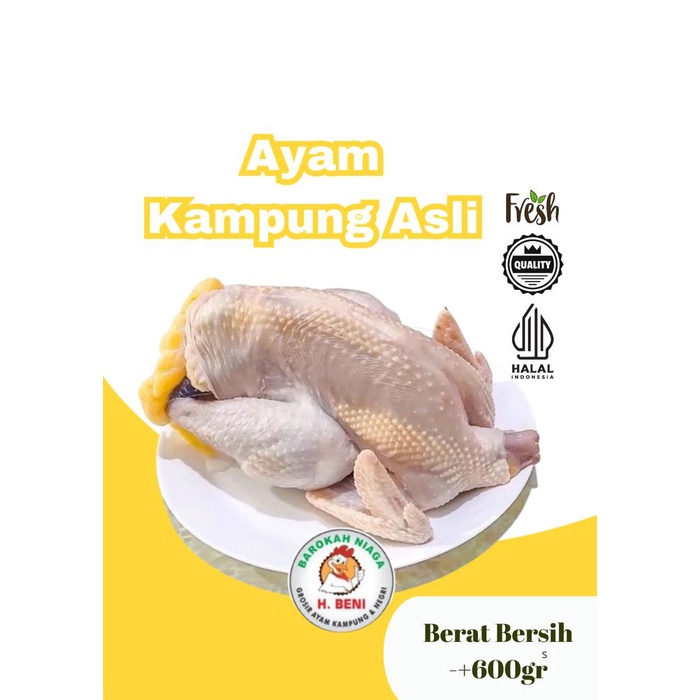 

Ayam Kampung Asli Fresh Siap Saji
