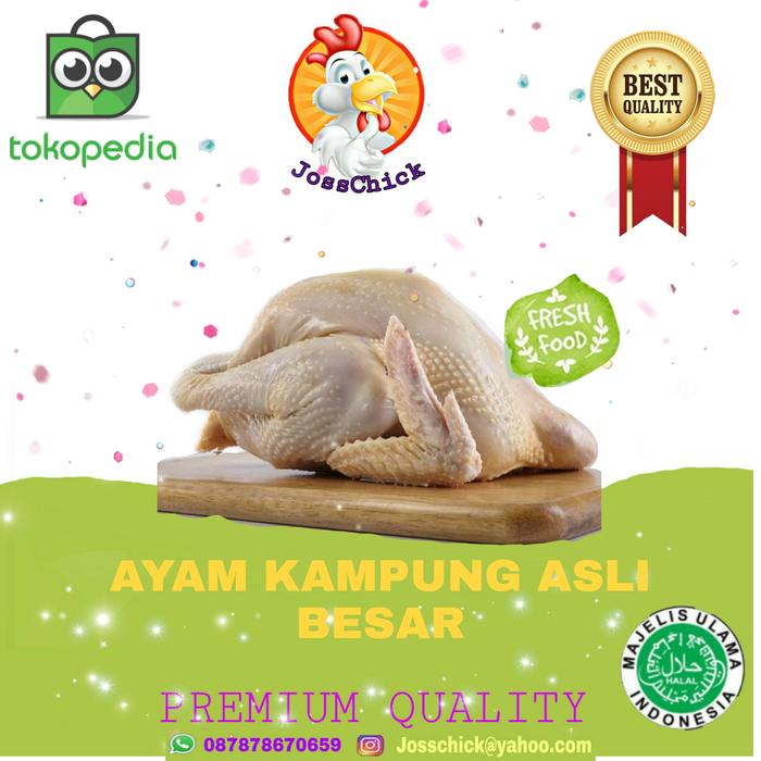 

Ayam Kampung / Ayam Kampung Besar 1-1.1Kg / Ayam Kampung Potong