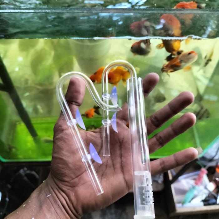 

MURAH Lily pipe akrilik skimer hanya IN