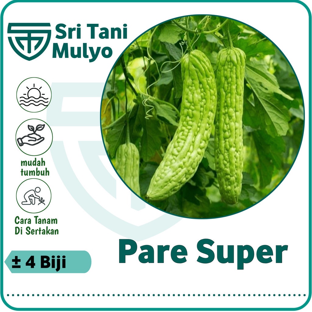 4 BIJI - BENIH PARE PARIA RADEN F1 - PANAH MERAH / BIJI PARE / BIBIT PARE / BENIH SAYUR / TANAMAN