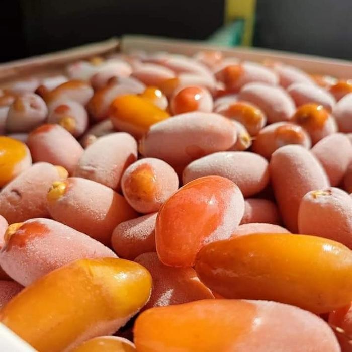 

BisaInstan- kurma ruthob libia premium