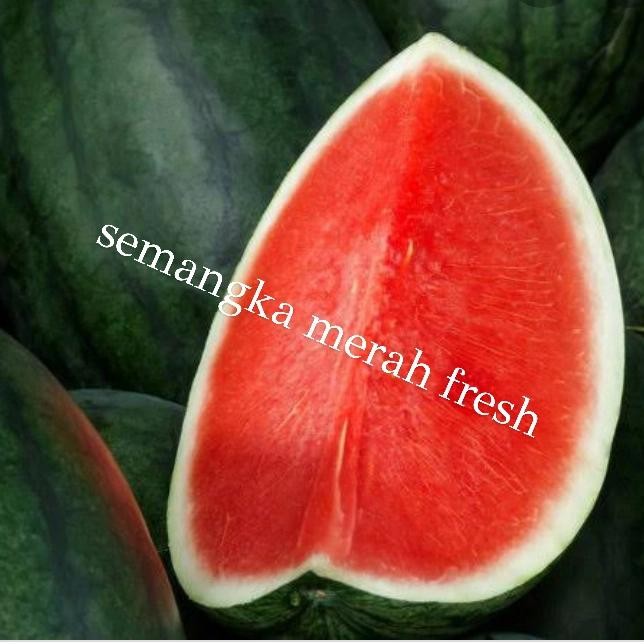 

BisaInstan- semangka merah fresh per pcs berat 4-5kg