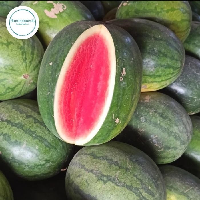

BisaInstan- semangka merah non biji 3kg up / semangka merah tanpa biji 3 kg up