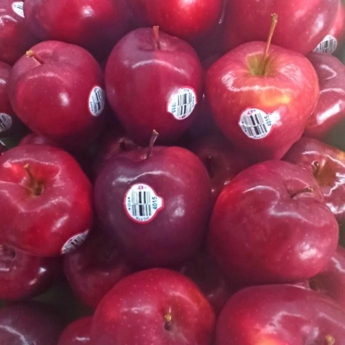 

BisaInstan- apel washington 1 kg fresh