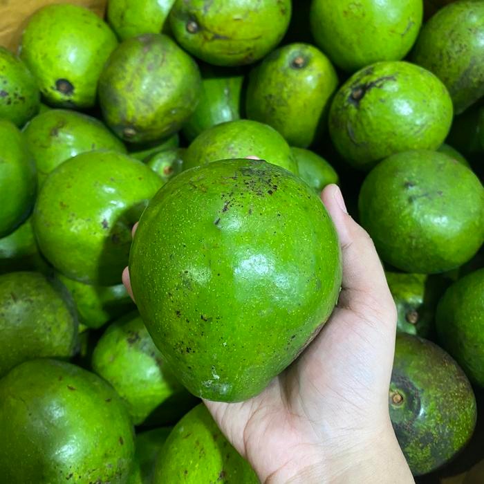 

BisaInstan- ALPUKAT PREMIUM (ENAK FRESH MURAH MANTAP)