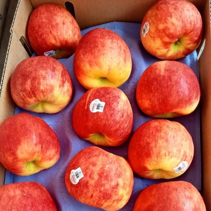 

BisaInstan- APEL ENVY FRESH IMPORT PER KG