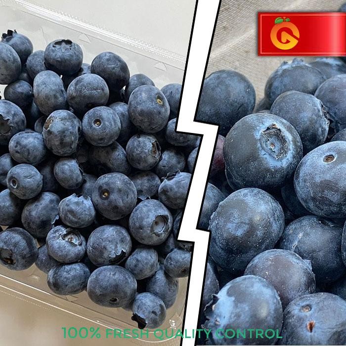 

BisaInstan- Buah Blueberry 125 Gram