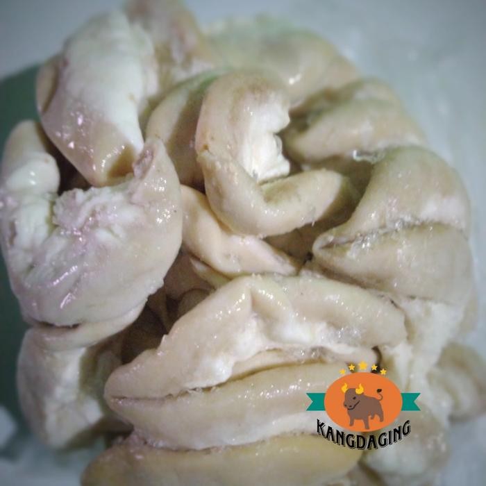 

Kirim,HariYgSama- usus sapi rebus - iso sapi rebus bersih