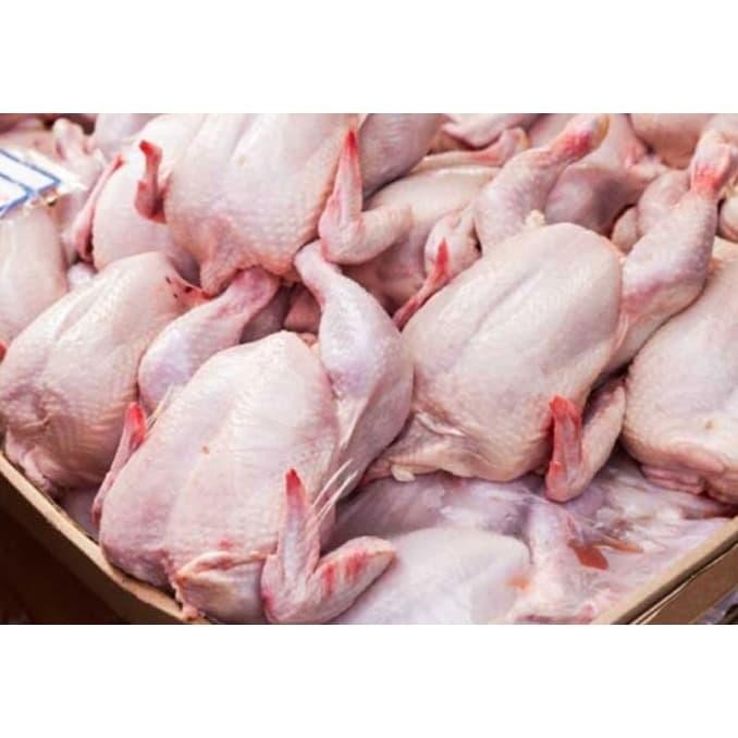 

Kirim,HariYgSama- PASAR ONLINE TANGERANG - AYAM BOILER 1 EKOR