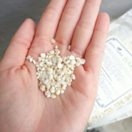 

NewZbgt- BARLEY/JALI JALI/IBI/MINUMAN/BIJI JALI/ORGANIK/PANAS DALAM/GANDUM