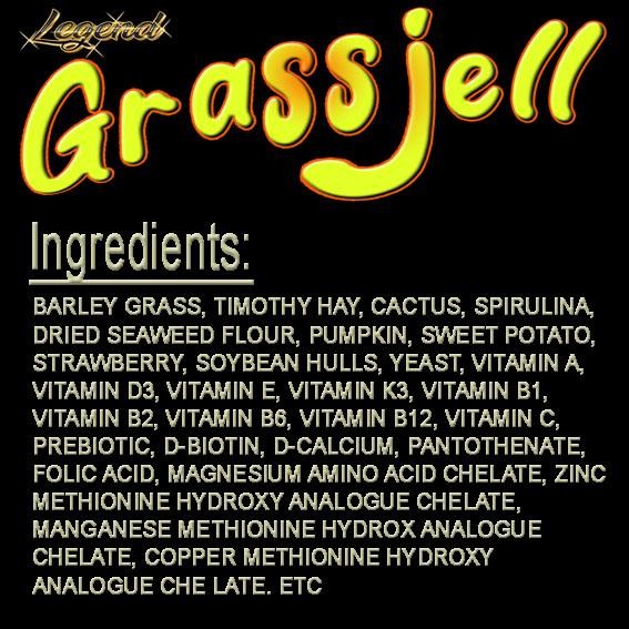 PROMO SPECIAL INDIAN STAR GRASS JELL MAKANAN KURA-KURA DARAT GEOCHELONE ELEGANS RUMPUT TIMOTHY