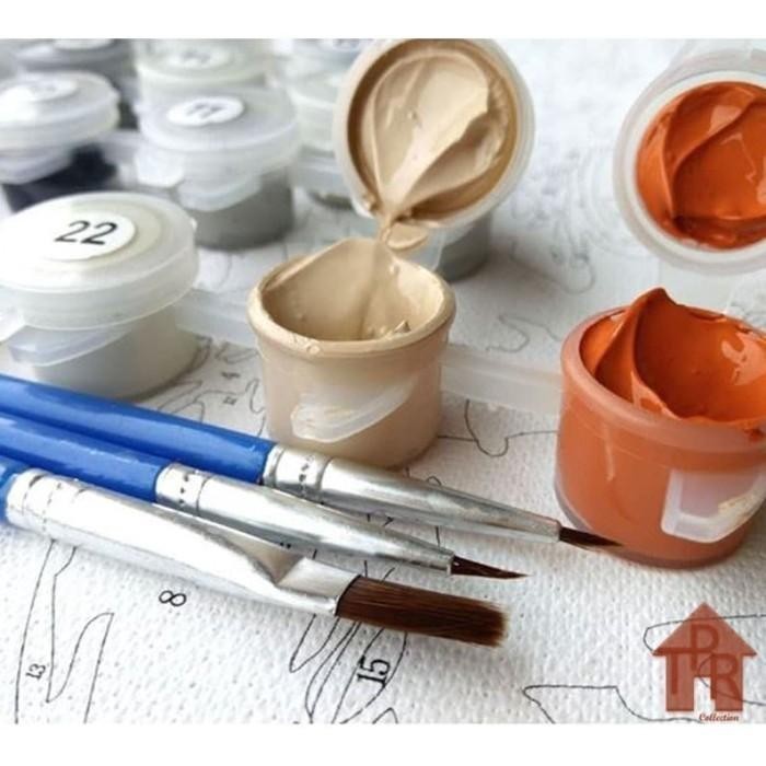 

DIY - SET MELUKIS / PAINTING BY NUMBER KIT - ANIMAL 40X50CM. PART-2
