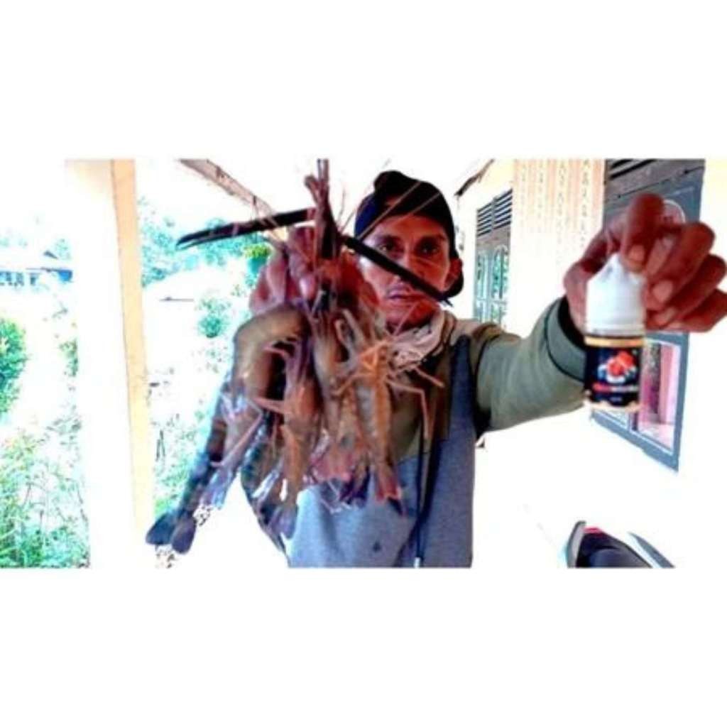 Essen Mancing Udang Galah Liar Dan Lobster Air Tawar Sungai Rawa Danau ESSEN BOOSTRIKE 30ML