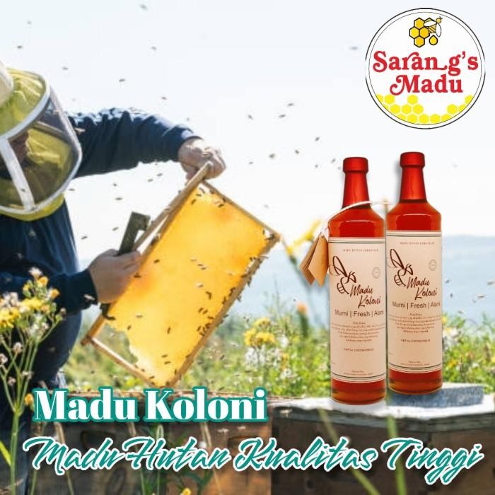 

Madu Koloni Natural, Madu Hutan Asli Murni, Kualitas Eksport