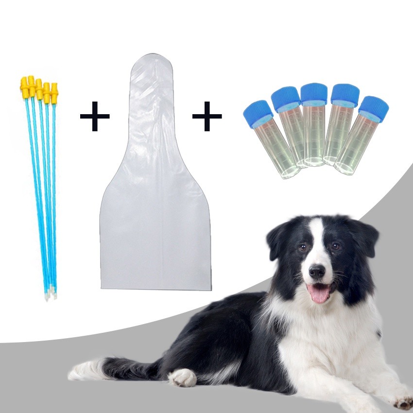 Purvisco - Alat Inseminasi Buatan Kit Hewan Anjing Kucing Sapi Dll Selang Kawin Suntik