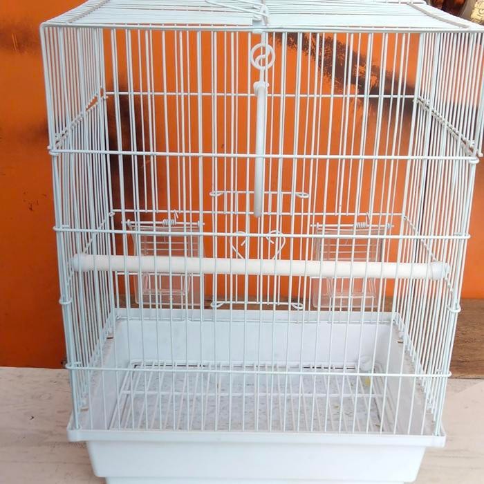 Kandang Besi Kotak lovebird terbaru