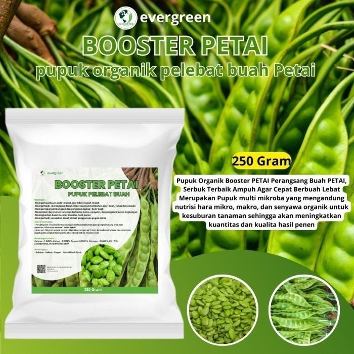 

Pupuk Petai Booster 250 gram - Pupuk Pelebat Buah Petai - Pupuk Petai Tanaman Tanah *