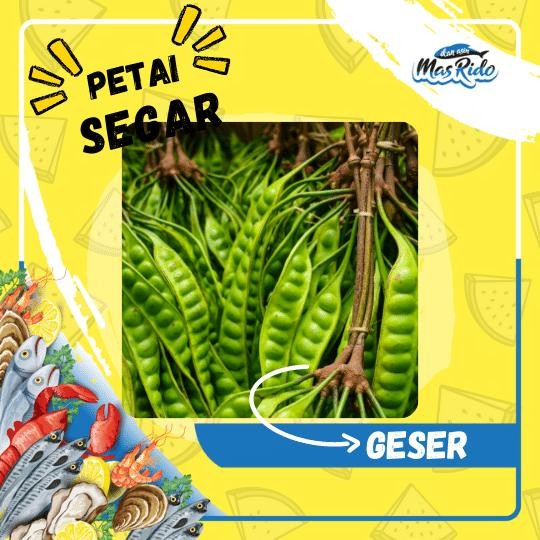 

Pete Muda Petai Segar Sayur Kwalitas Super Murah per Papan *