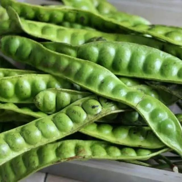 

petai per papan - pete *