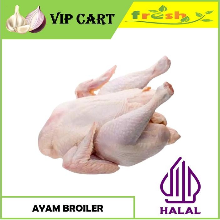 

TodayFre3sH- Ayam Broiler 1 ekor