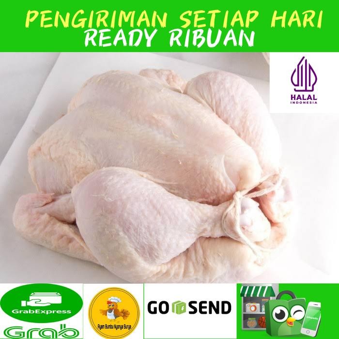 

BeliSkrg,KirimHariini- Ayam mentah Broiler 1 ekor