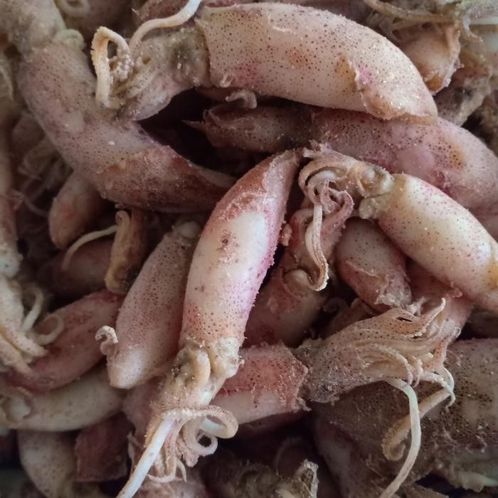 

PastikanDikirimLgsg- ikan cumi asin kering/sotong kering per 500gr