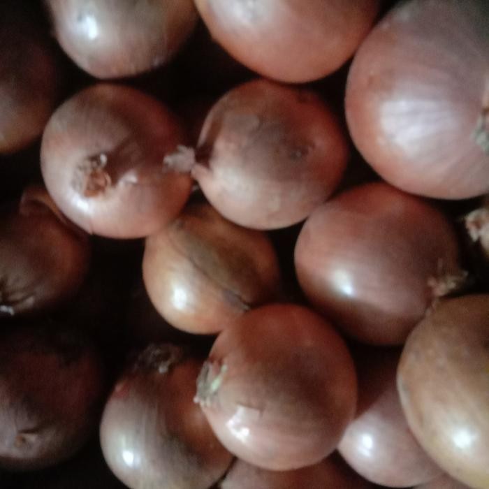 

BAWANG BOMBAY 5 KG UKURAN 60-85