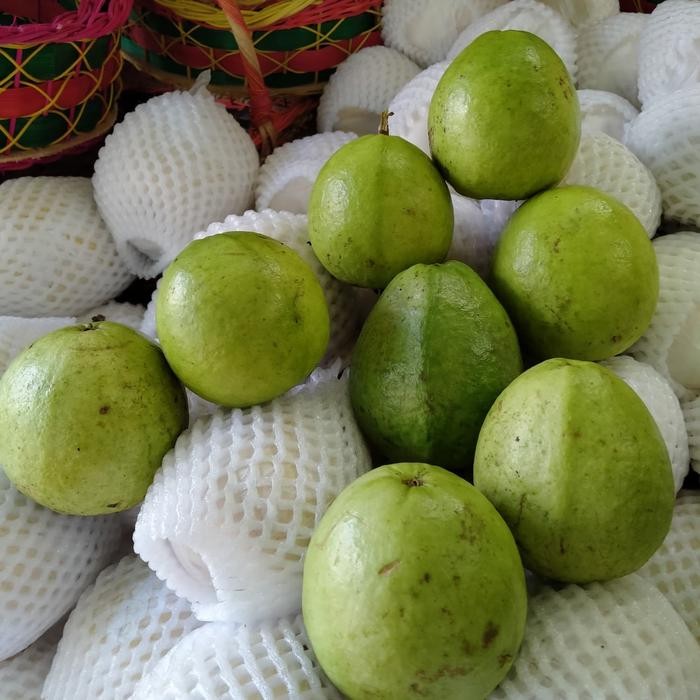 

Murah Jambu Biji Merah Diskon