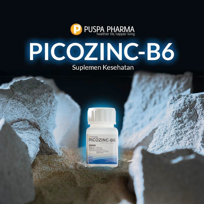TERLARIS PICOZINC + B6 PUSPA PHARMA (Botol 30 tab) - Vitamin Zinc 50mg + B6 HCL 10 Mg (MEMBANTU