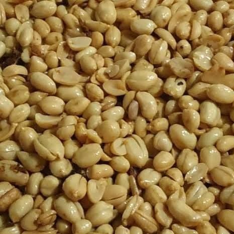 

PastikanTerjaminMutunya- Kacang Bawang 1kg (Sudah di Masak)
