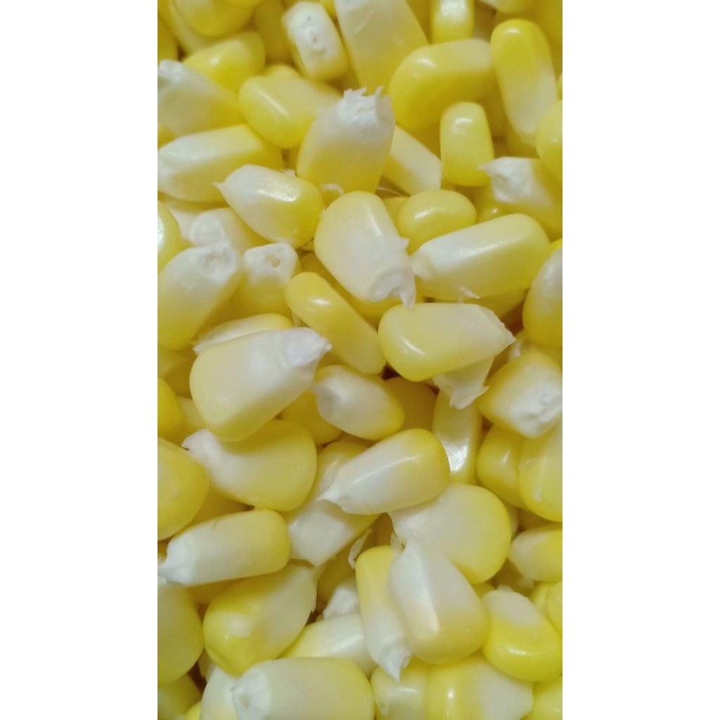 

BnyKBonusBelidiMari- jagung manis pipil / jagung madu