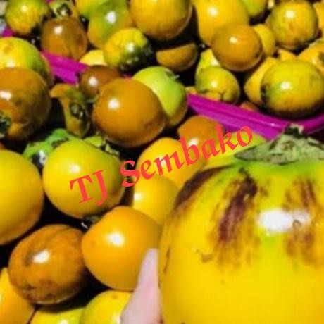 

BnyKBonusBelidiMari- TERONG ASAM KALIMANTAN / TERONG DAYAK