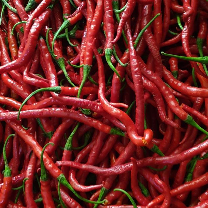 

BnyKBonusBelidiMari- CABE / CABAI MERAH KERITING 500 gr