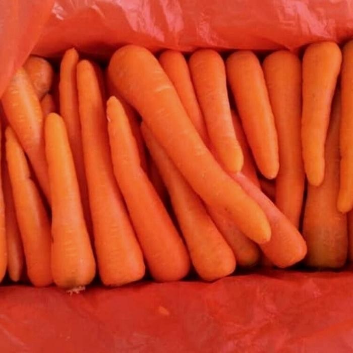 

BnyKBonusBelidiMari- WORTEL BRASTAGI LOKAL SUPER FRESH PER DUS